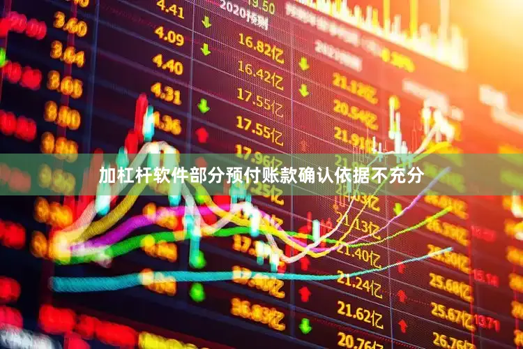 加杠杆软件部分预付账款确认依据不充分