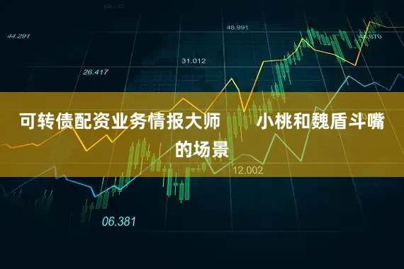 可转债配资业务情报大师       小桃和魏盾斗嘴的场景