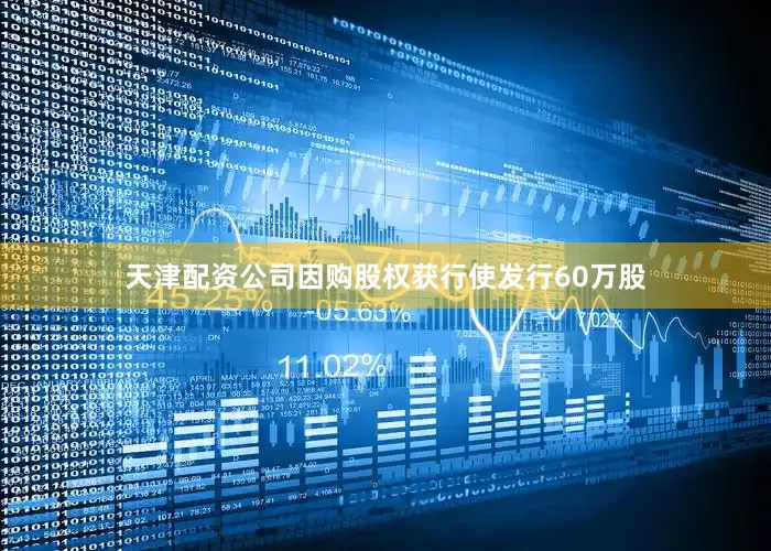 天津配资公司因购股权获行使发行60万股