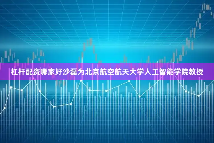 杠杆配资哪家好沙磊为北京航空航天大学人工智能学院教授